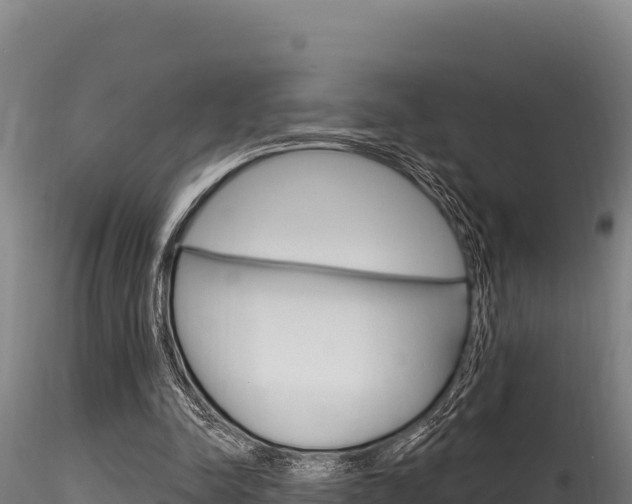 X0000116280342200911301046