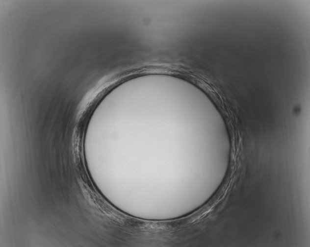 X0000116280343200911301046