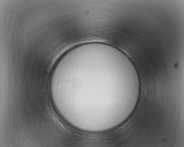 X0000116280350200911301046