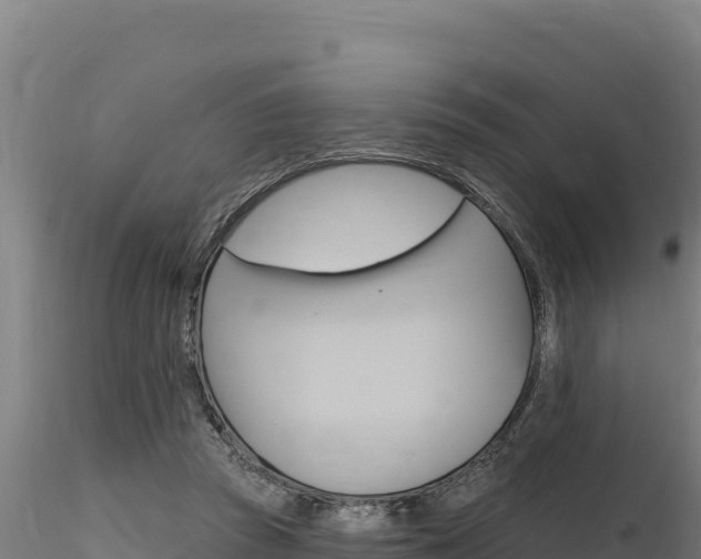 X0000116280353200911301046