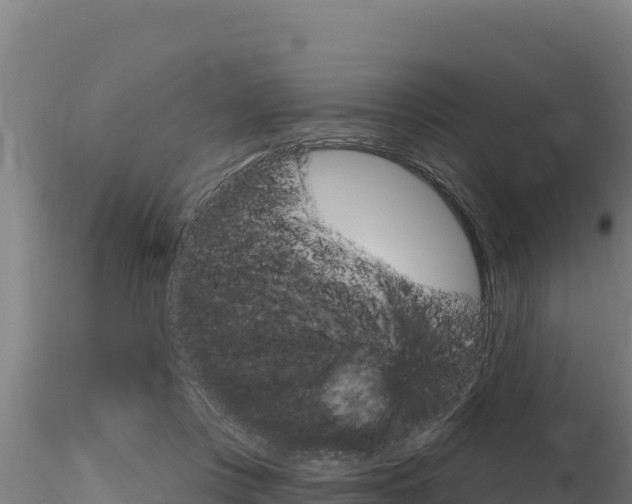 X0000116280359200911301046