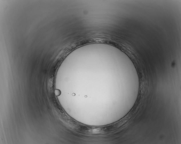 X0000116280365200911301046