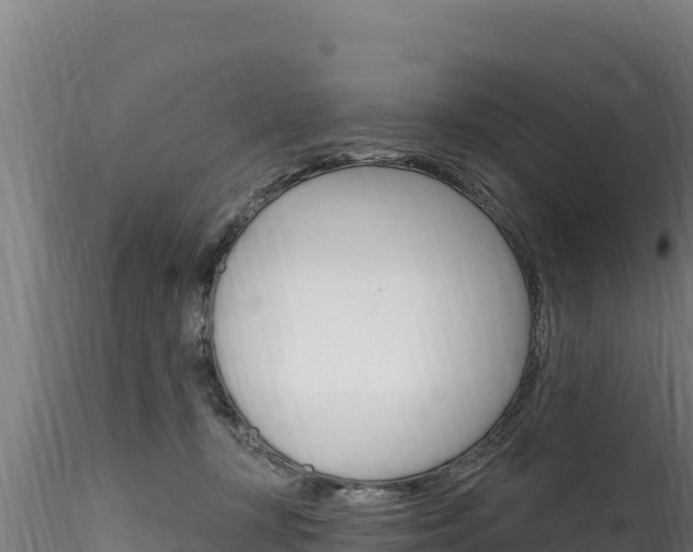X0000116280367200911301046