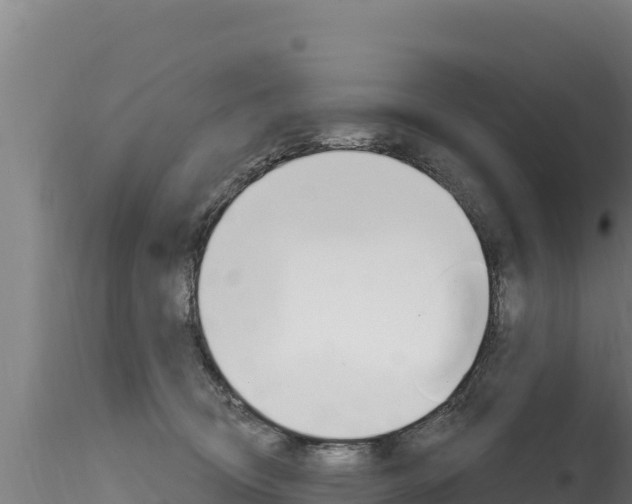 X0000116280370200911301046