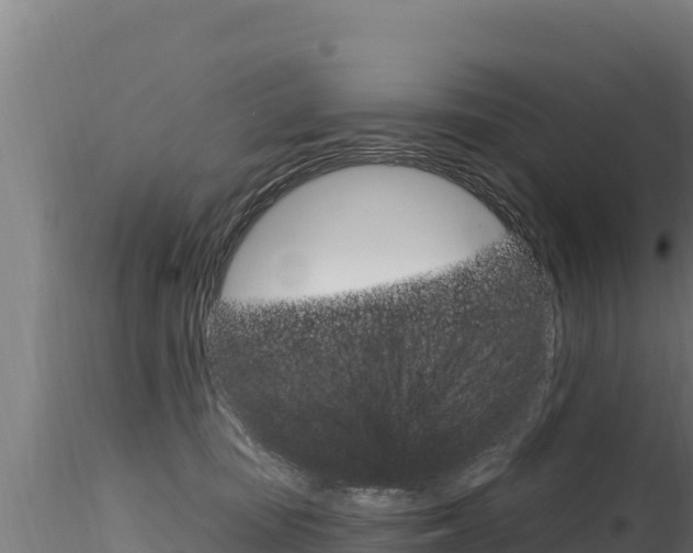 X0000116280371200911301046