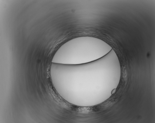 X0000116280378200911301046