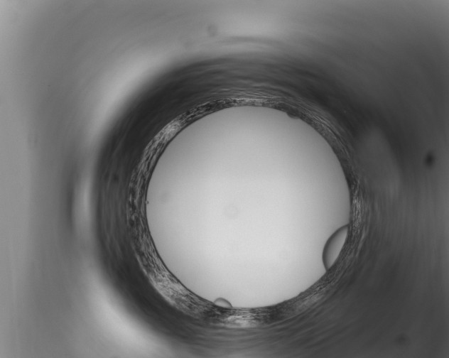 X0000116280381200911301046