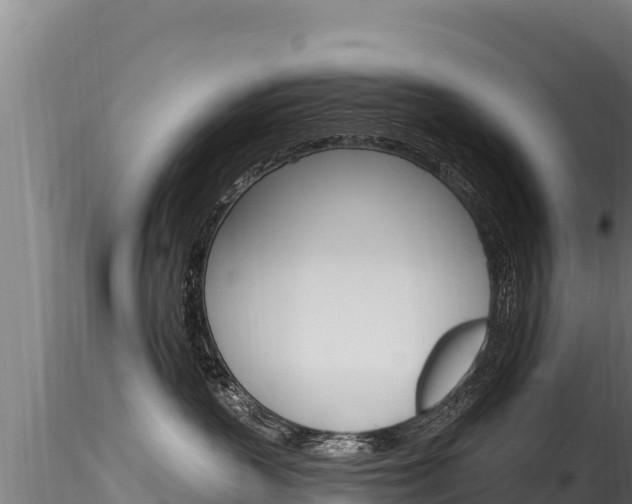 X0000116280383200911301046