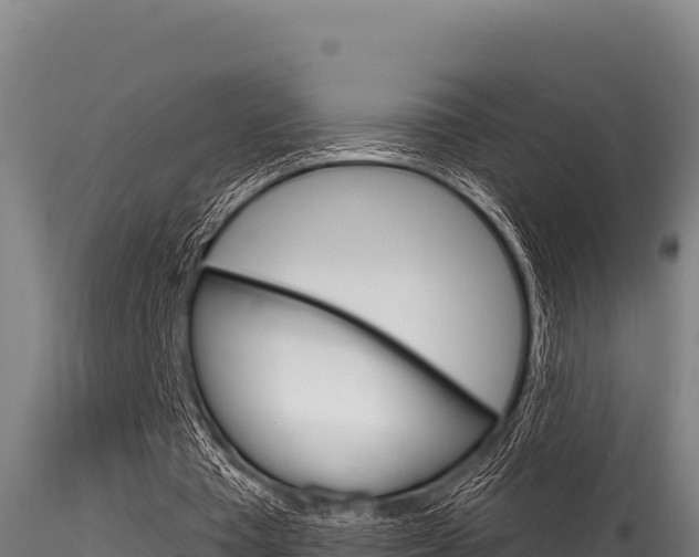 X0000116280385200911301046