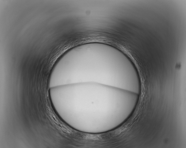 X0000116280386200911301046