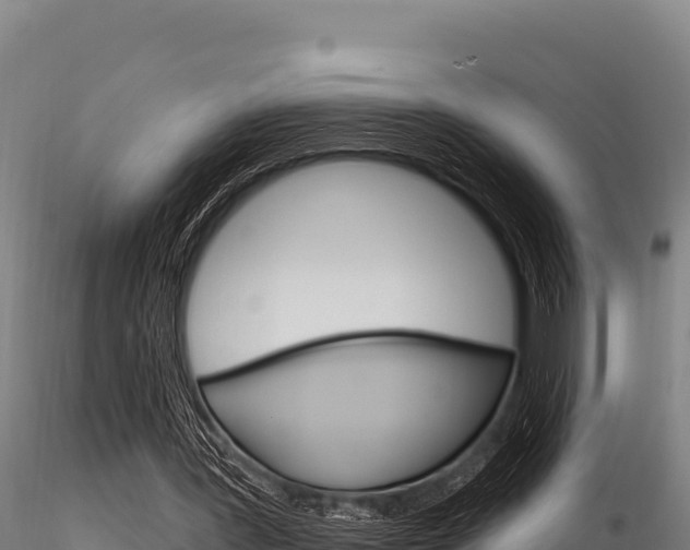 X0000116280387200911301046