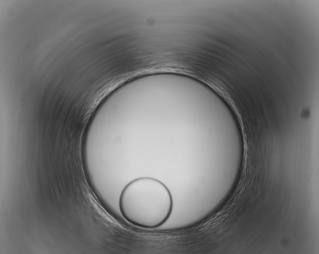 X0000116280389200911301045