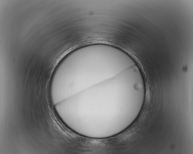 X0000116280390200911301045