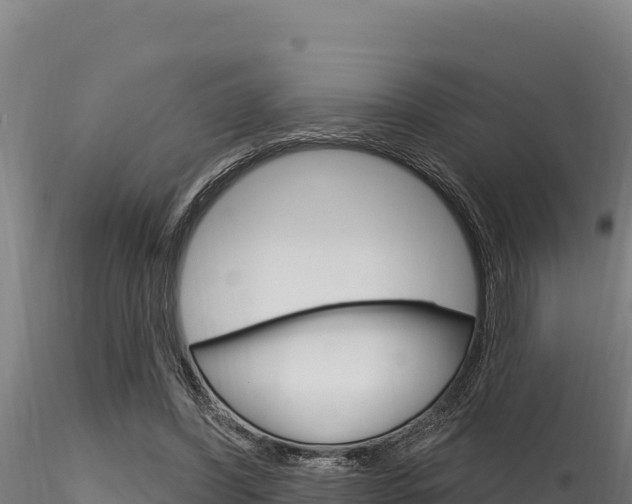 X0000116280396200911301045
