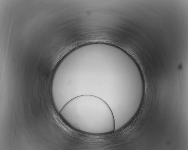 X0000116280397200911301045