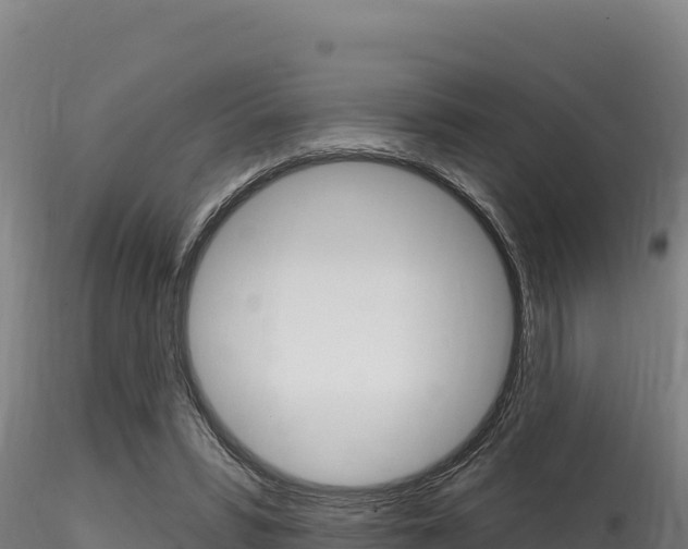 X0000116280399200911301045