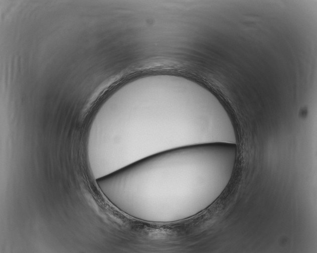 X0000116280400200911301045