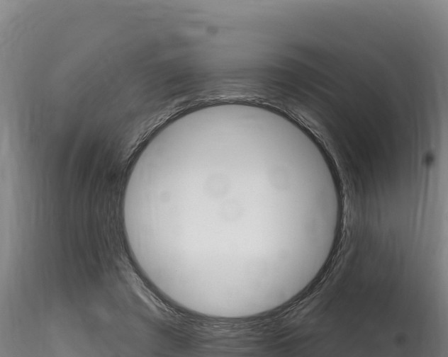 X0000116280401200911301045