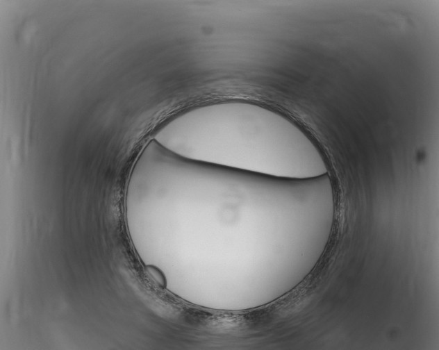 X0000116280402200911301045