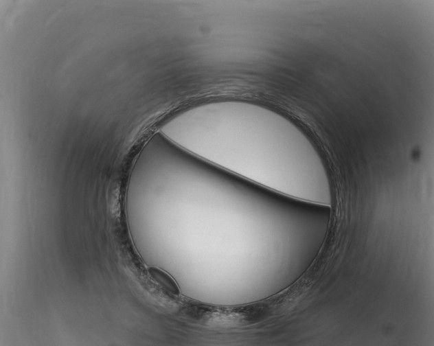 X0000116280403200911301045