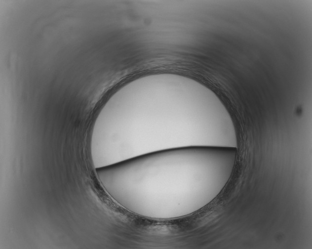 X0000116280404200911301045