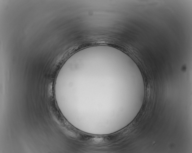 X0000116280406200911301045