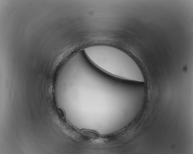 X0000116280407200911301045