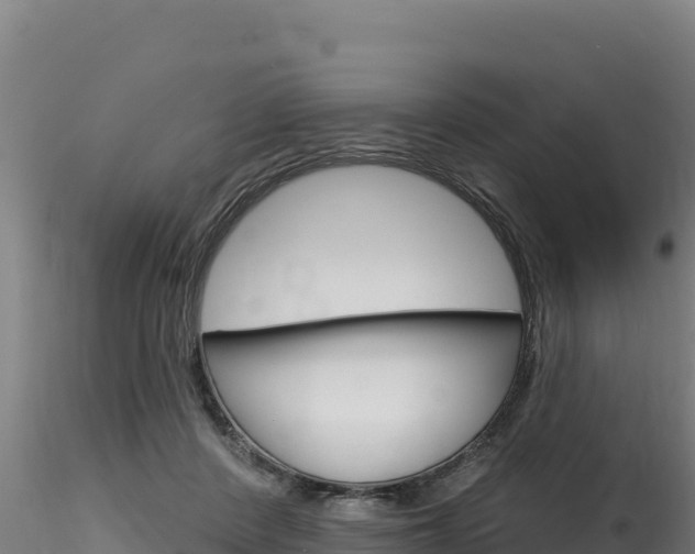 X0000116280408200911301045