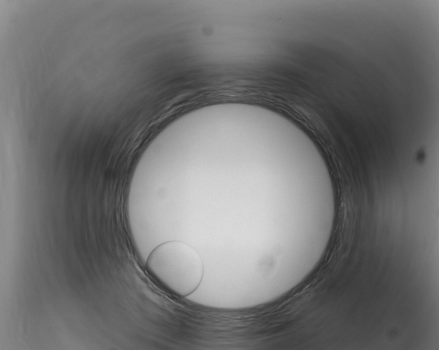 X0000116280409200911301045