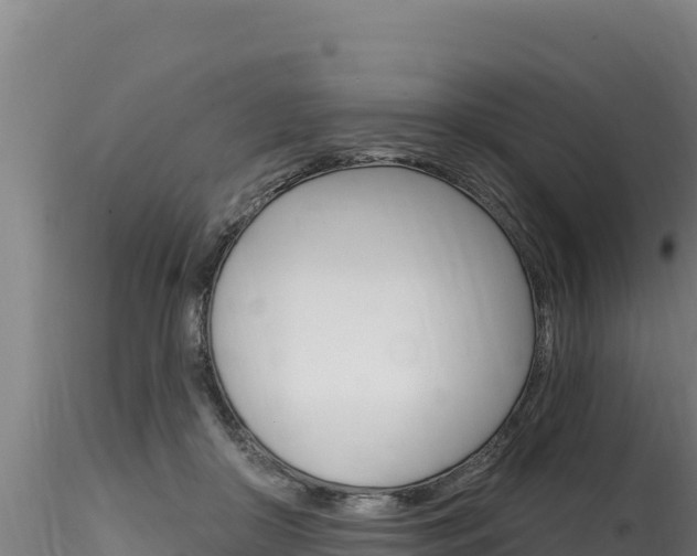 X0000116280410200911301045