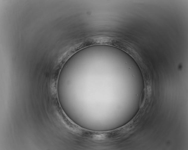 X0000116280411200911301045