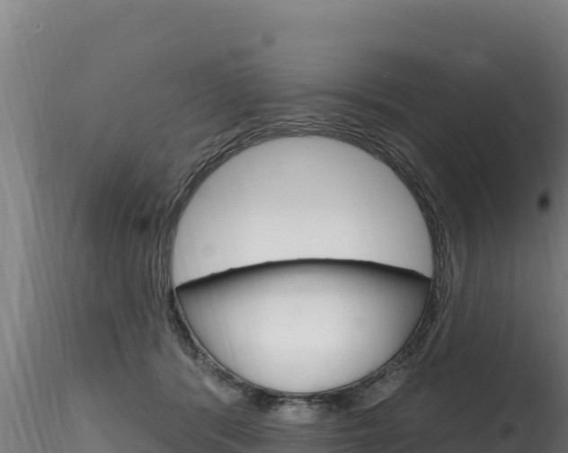 X0000116280416200911301045