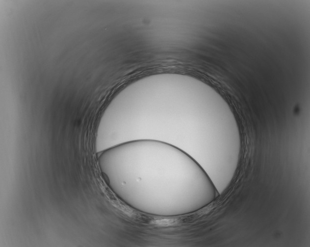 X0000116280417200911301045