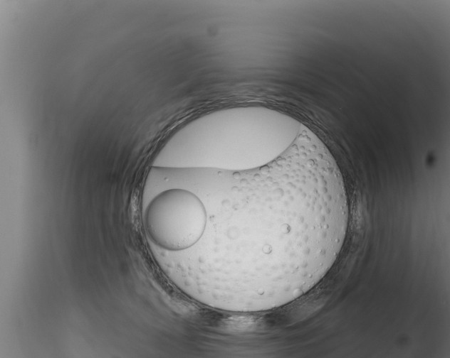 X0000116280418200911301045