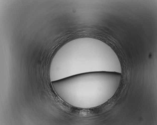 X0000116280420200911301045