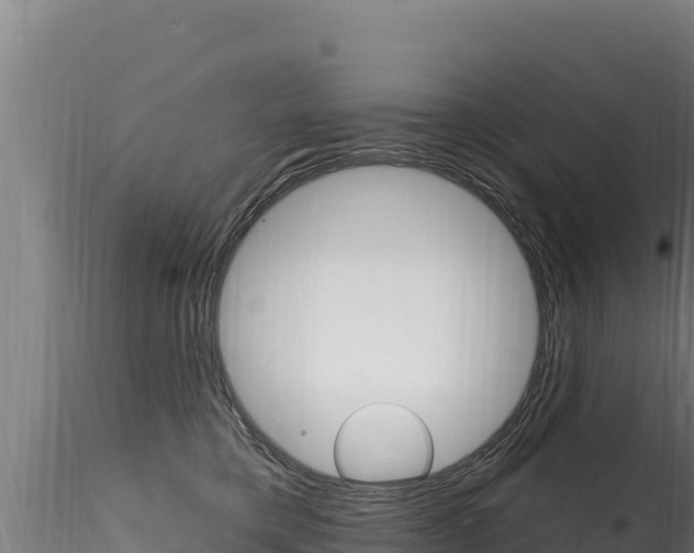 X0000116280421200911301045