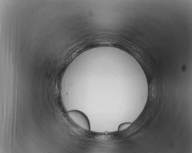 X0000116280422200911301045