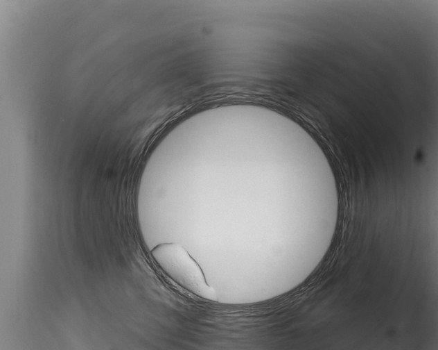X0000116280423200911301045
