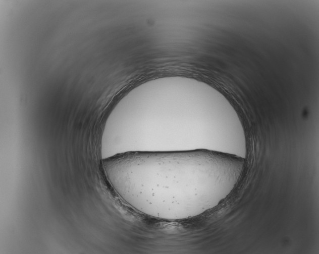 X0000116280424200911301045
