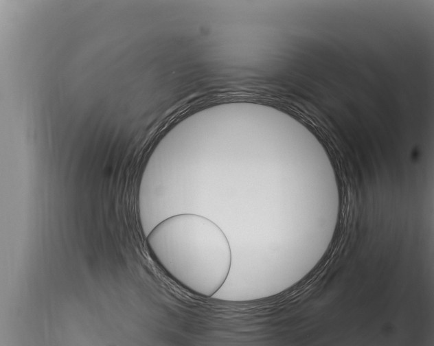 X0000116280425200911301045