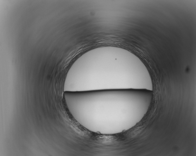 X0000116280428200911301045