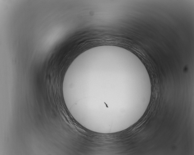 X0000116280429200911301045