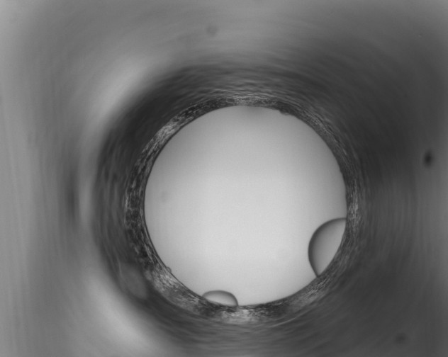 X0000116280430200911301045