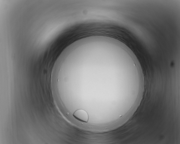 X0000116280431200911301045