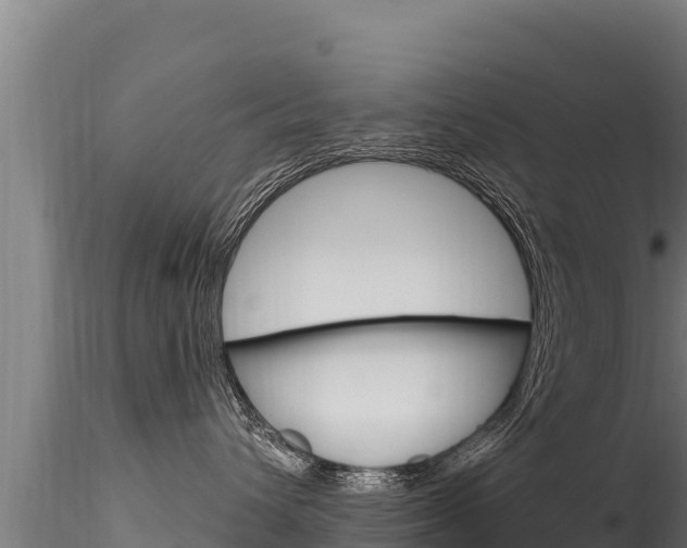 X0000116280432200911301045