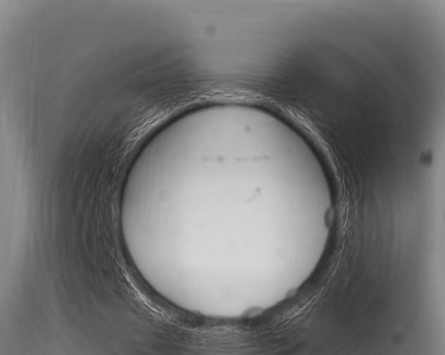 X0000116280433200911301044