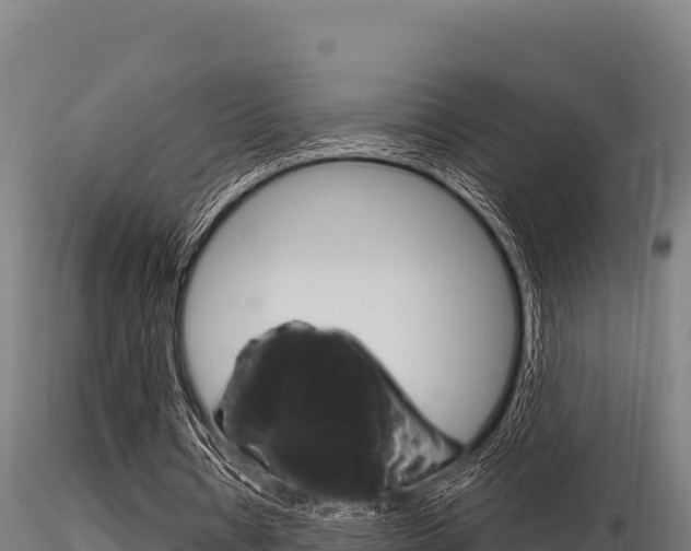 X0000116280434200911301044