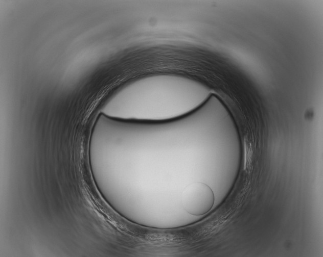 X0000116280435200911301044