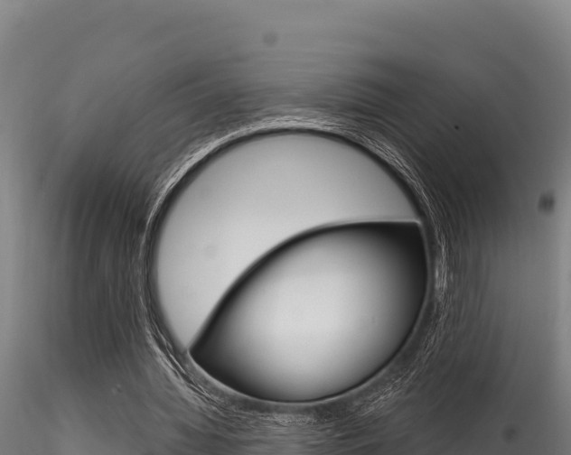 X0000116280436200911301044