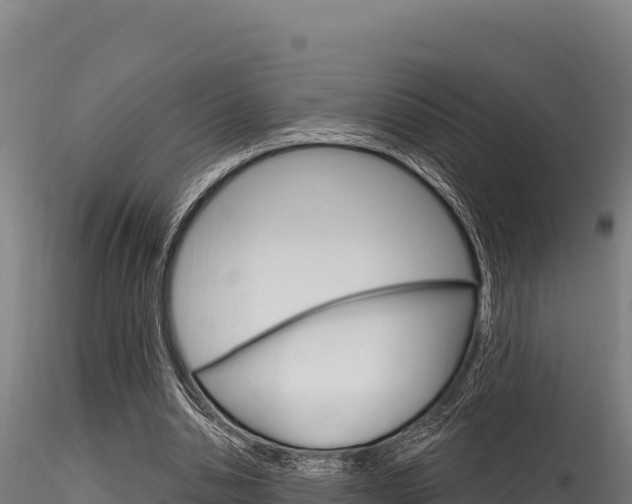 X0000116280438200911301044